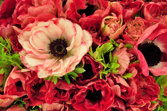 New-Covent-Garden-Flower-Market-November-Flowerona-1.jpg?mtime=20170928144545#asset:11915