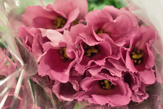 New-Covent-Garden-Flower-Market-November-Flowerona-2.jpg?mtime=20170928144545#asset:11916
