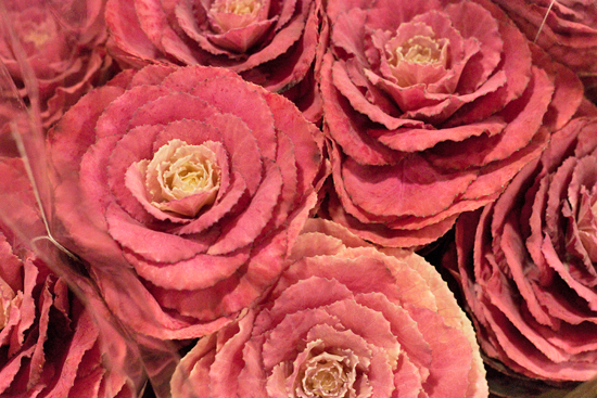 New-Covent-Garden-Flower-Market-November-Flowerona-25.jpg?mtime=20170928144601#asset:11939
