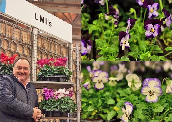 New-Covent-Garden-Flower-Market-November-Flowerona-29.jpg?mtime=20170928144604#asset:11943