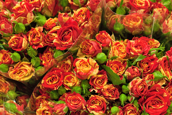 New-Covent-Garden-Flower-Market-November-Flowerona-7.jpg?mtime=20170928144549#asset:11921
