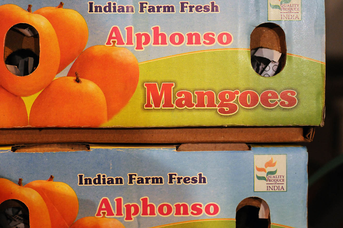 alphonso-mangoes.jpg?mtime=20170922143742#asset:11526