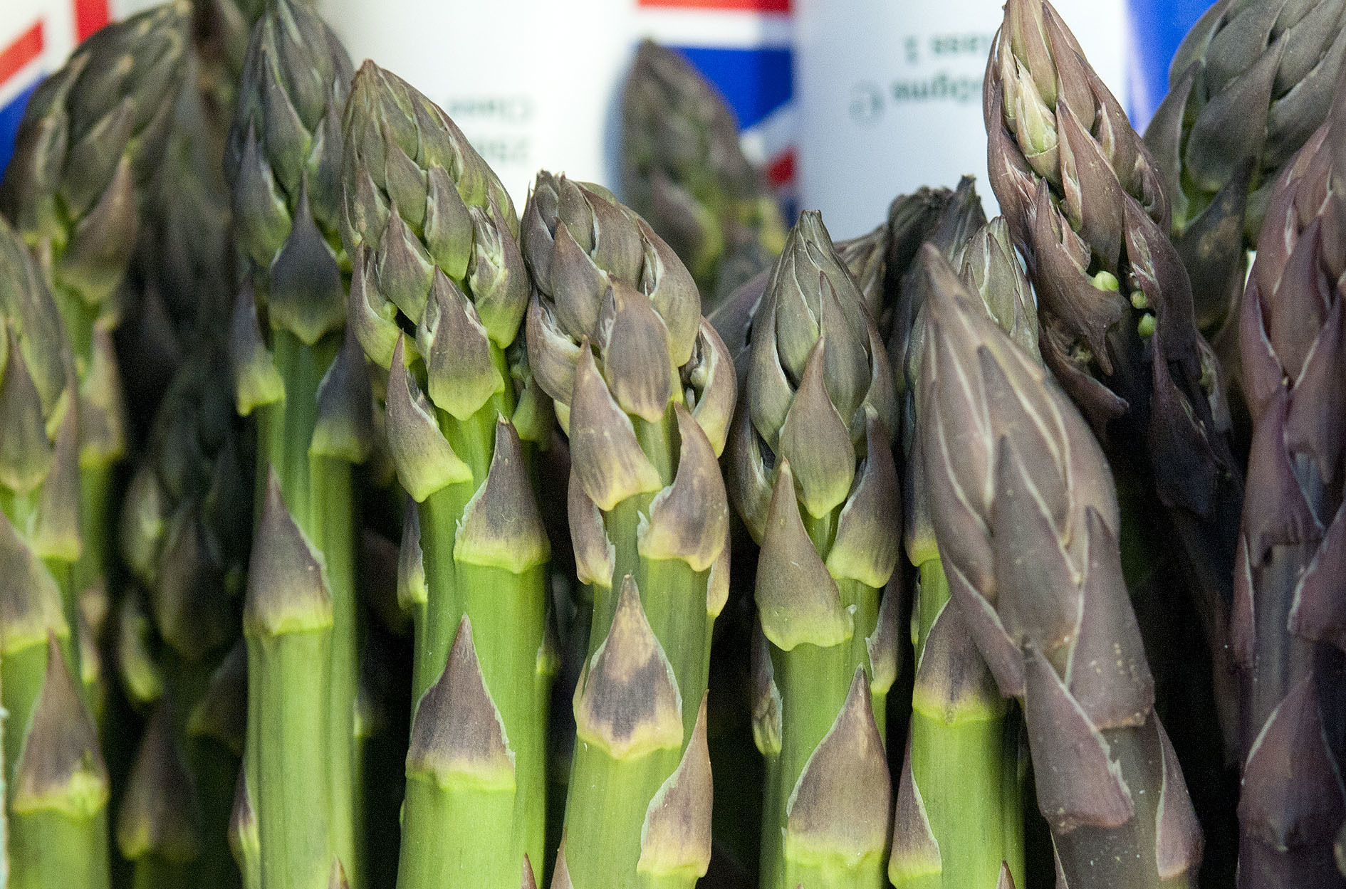asparagus.jpg?mtime=20170922140810#asset:11471