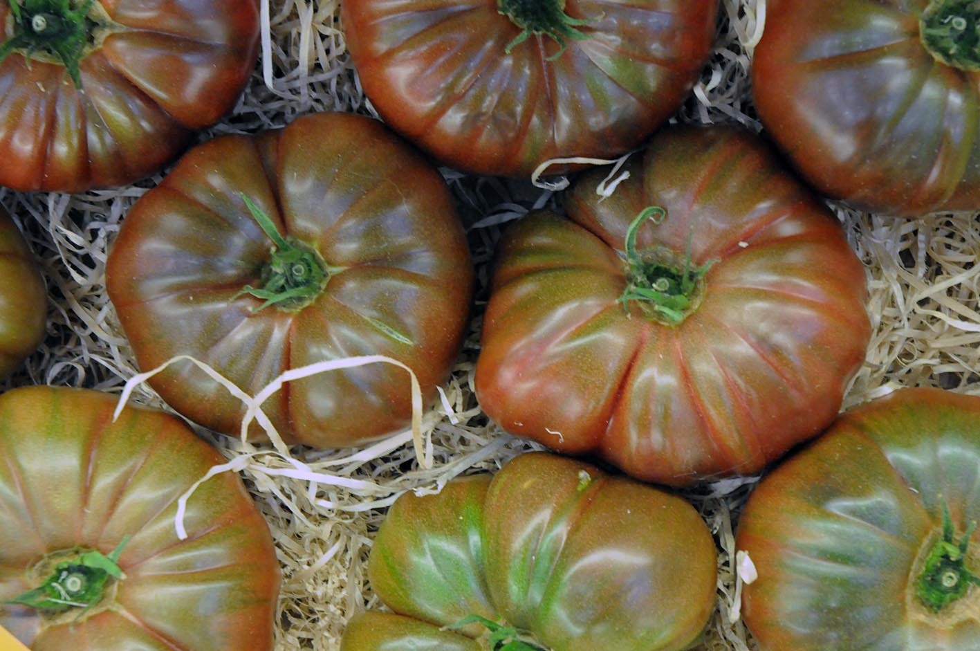 beefsteak-tomatoes.jpg?mtime=20170922143746#asset:11530
