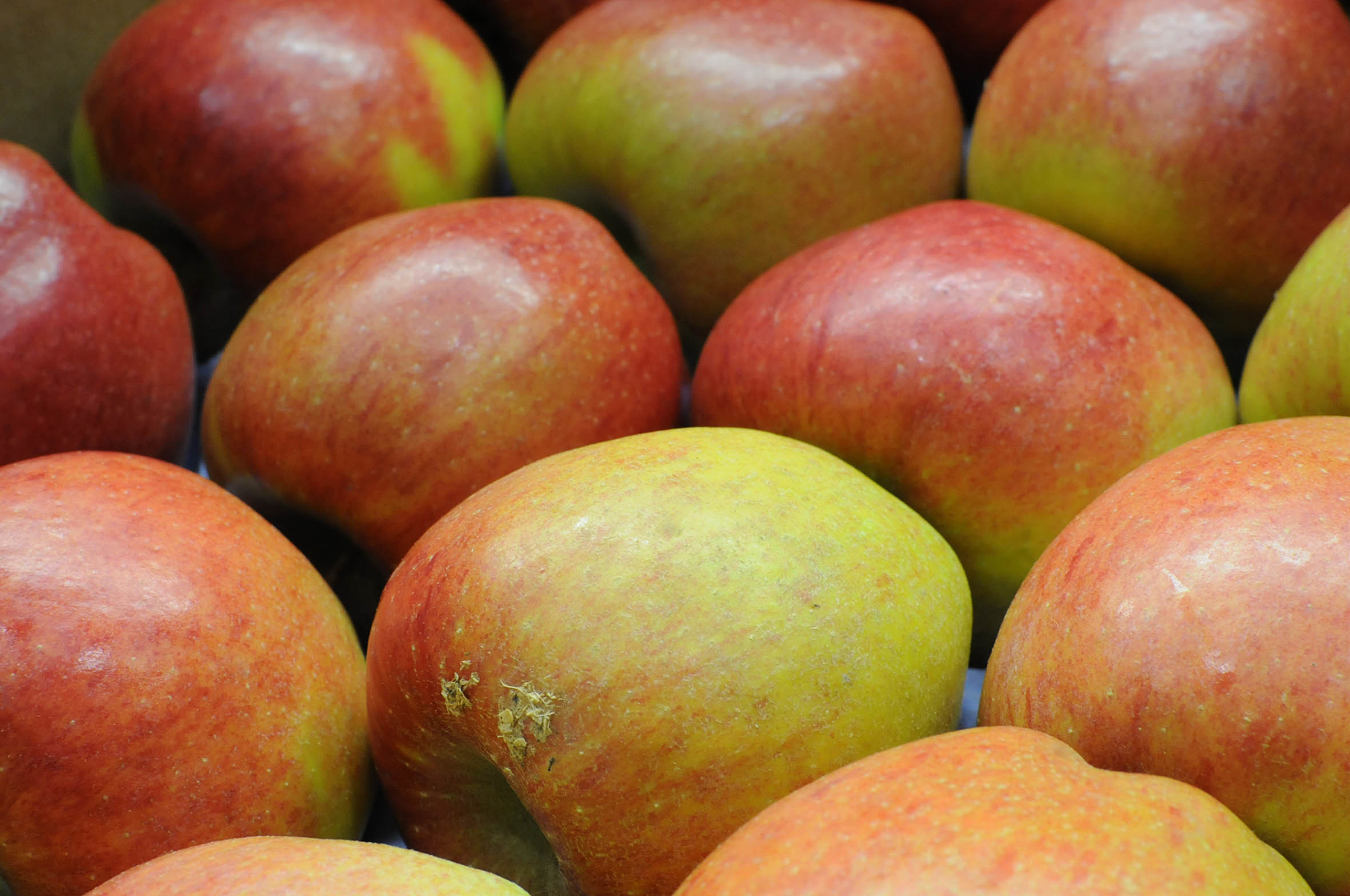 braeburn.jpg?mtime=20170922142452#asset:11496