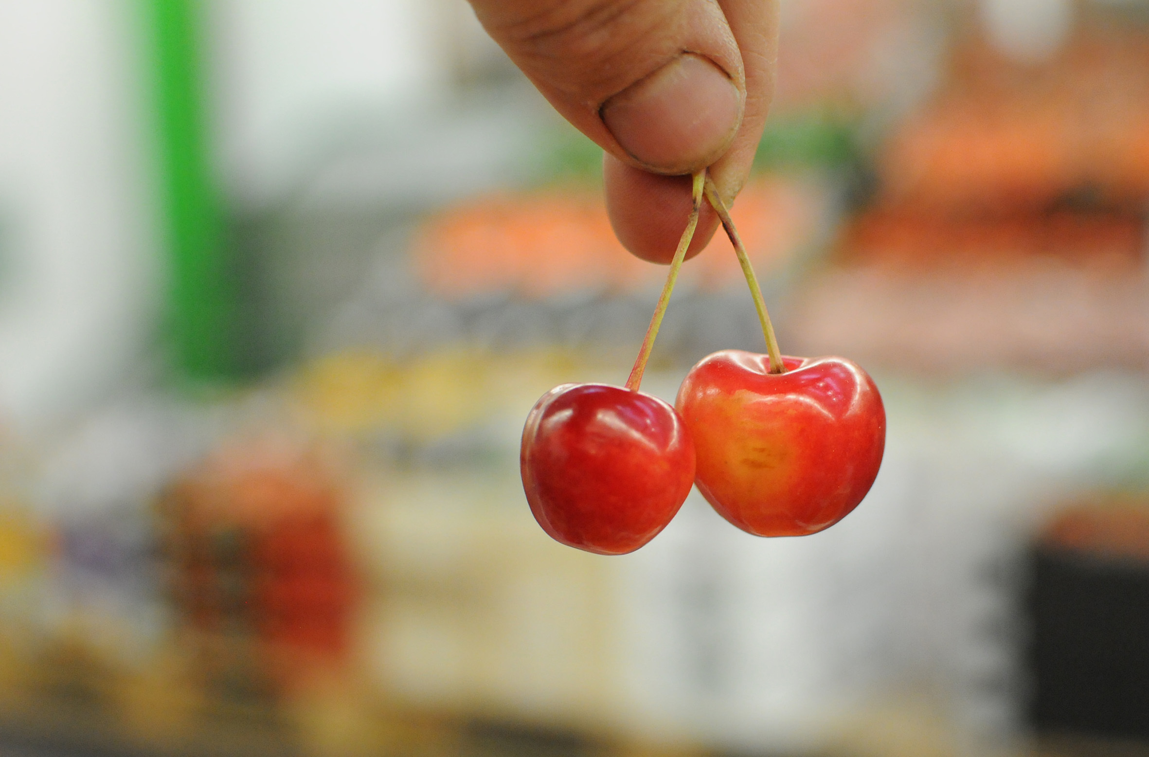 cherries_170922_135425.jpg?mtime=20170922135425#asset:11457