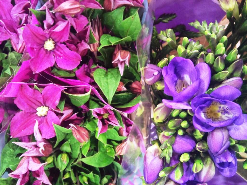 clematis-and-freesia.jpg?mtime=20171003153521#asset:12595