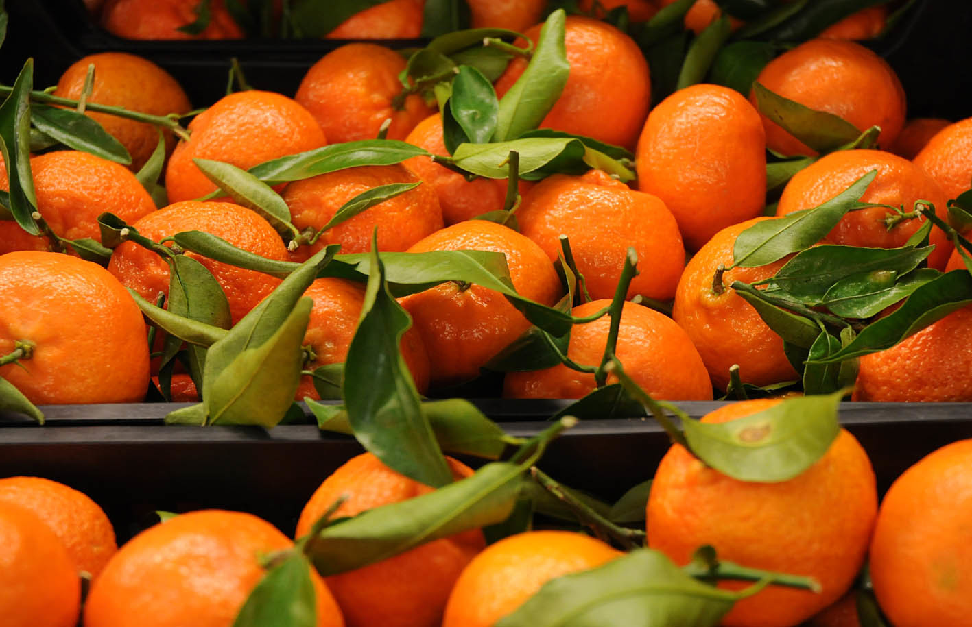 clementines.jpg?mtime=20170922144727#asset:11558