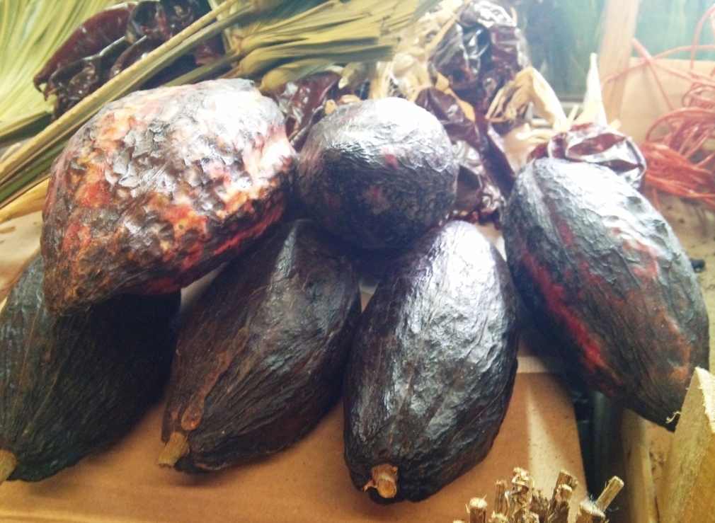 cocoa-pods.jpg?mtime=20171003165031#asset:12770
