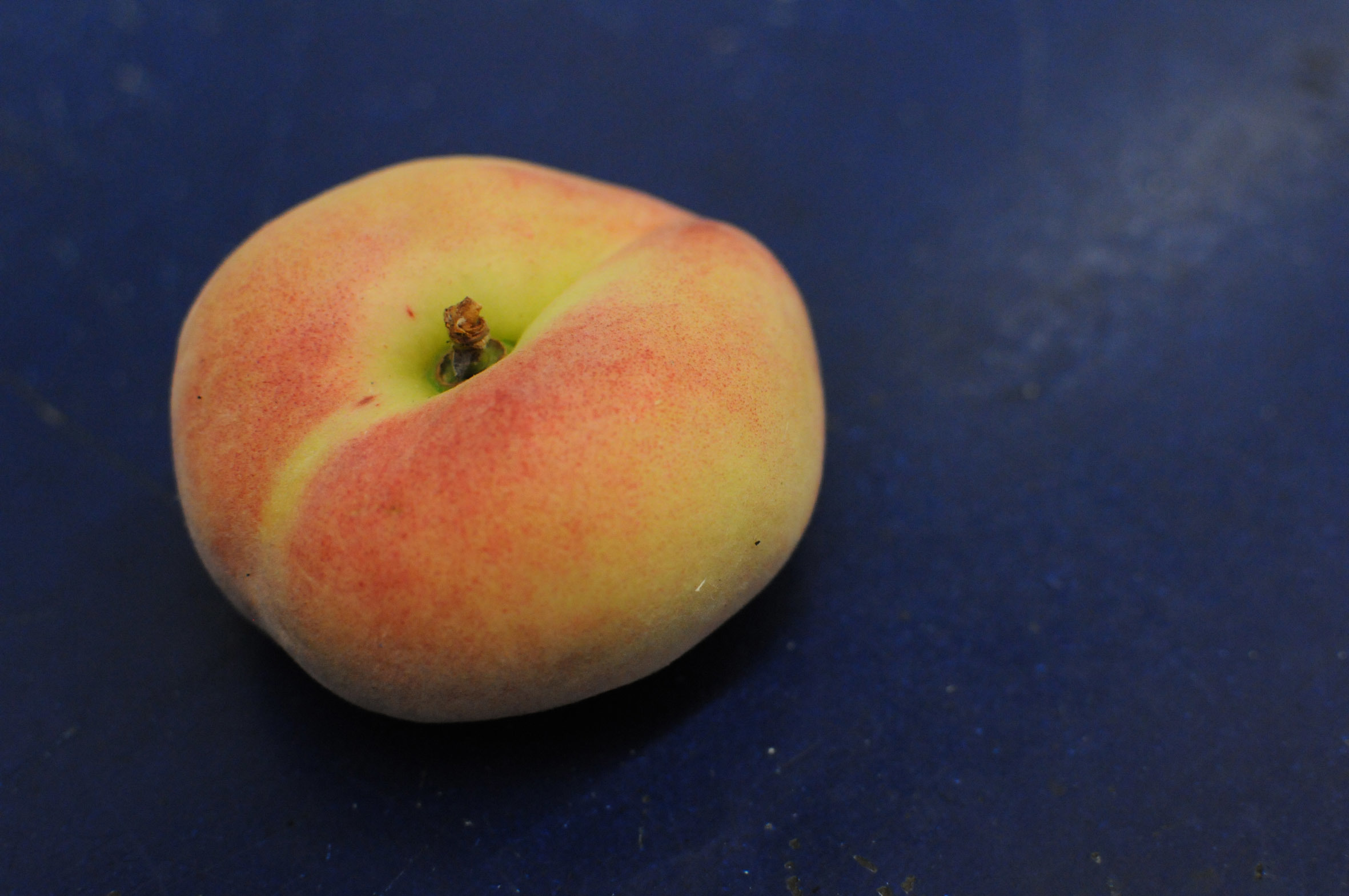 flat-peach.jpg?mtime=20170922135432#asset:11460