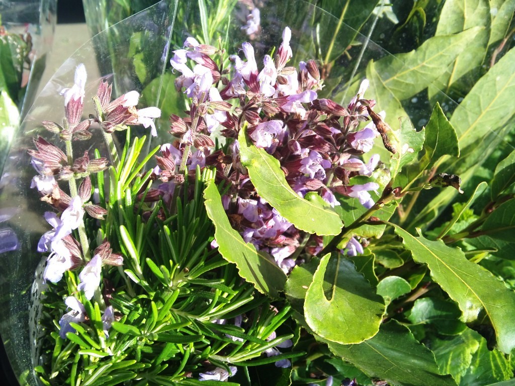 flowering-rosemary.jpg?mtime=20171003164900#asset:12762