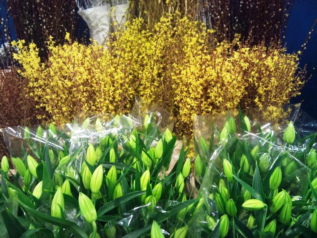 forsythia-and-lilies.jpg?mtime=20171003153353#asset:12585