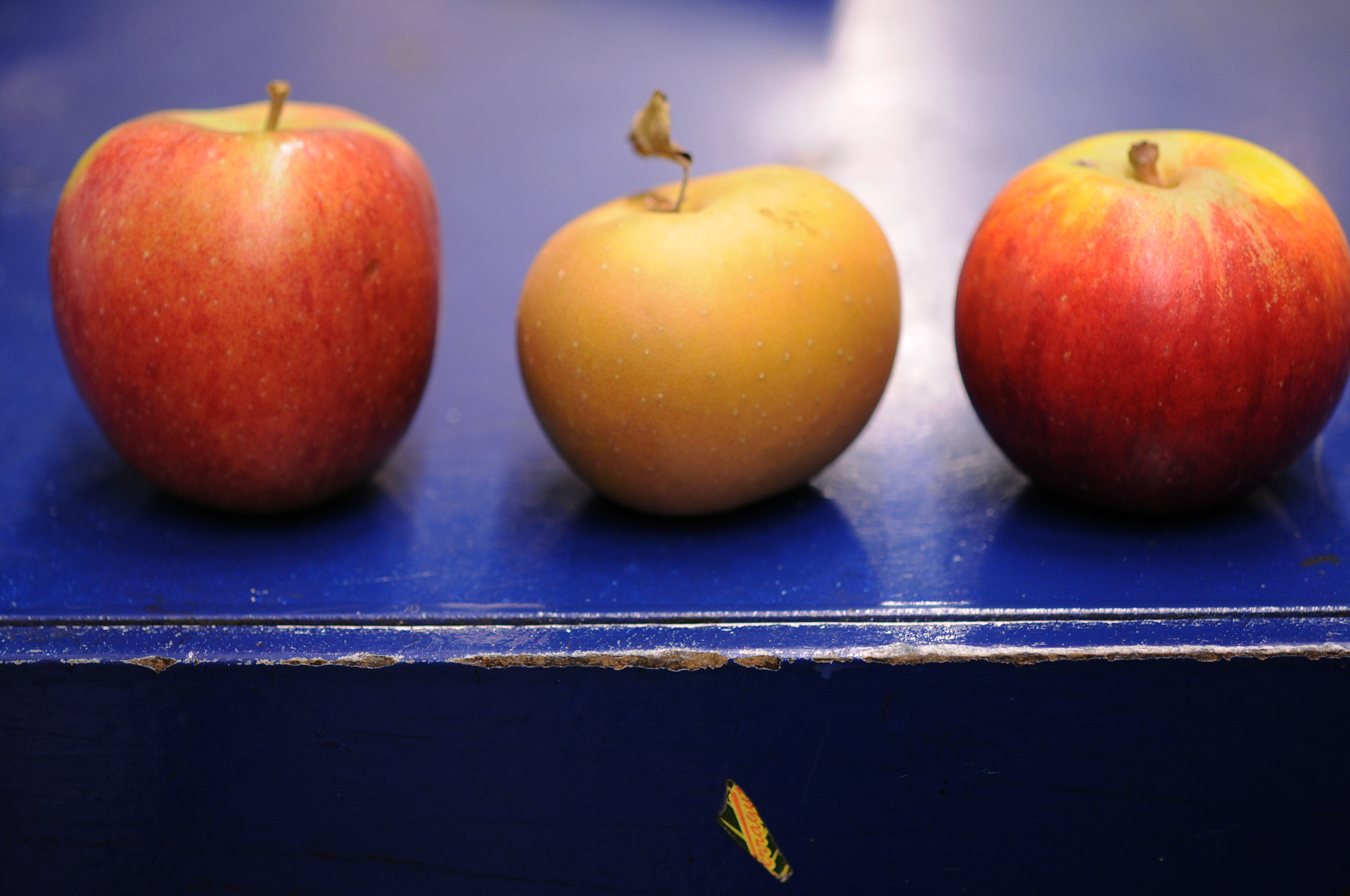 fruit-and-vegetable-market-report-february-2014-apples.jpg?mtime=20170922113356#asset:11340