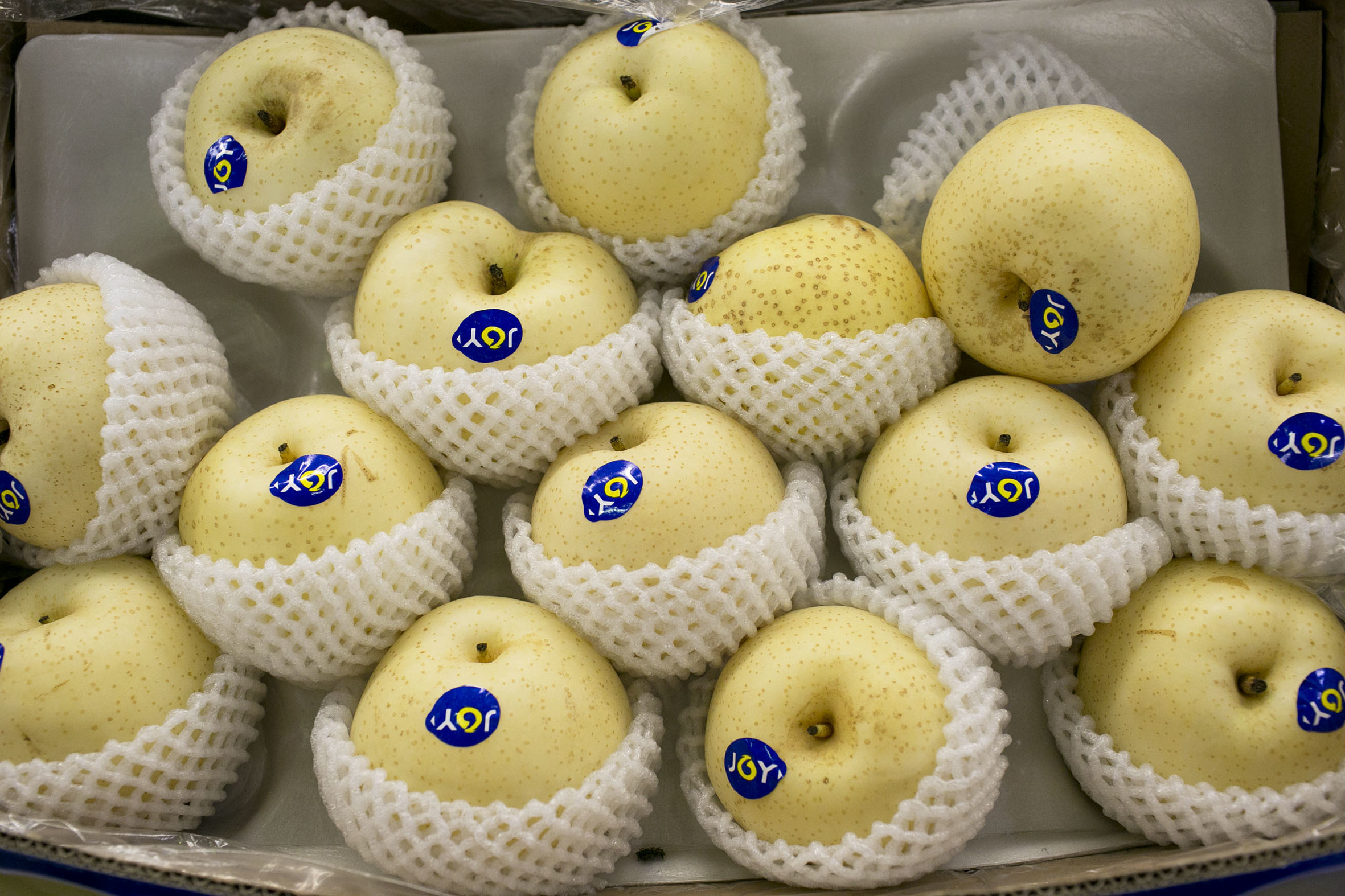 fruit-and-vegetable-market-report-february-2014-asian-pear.jpg?mtime=20170922113359#asset:11341