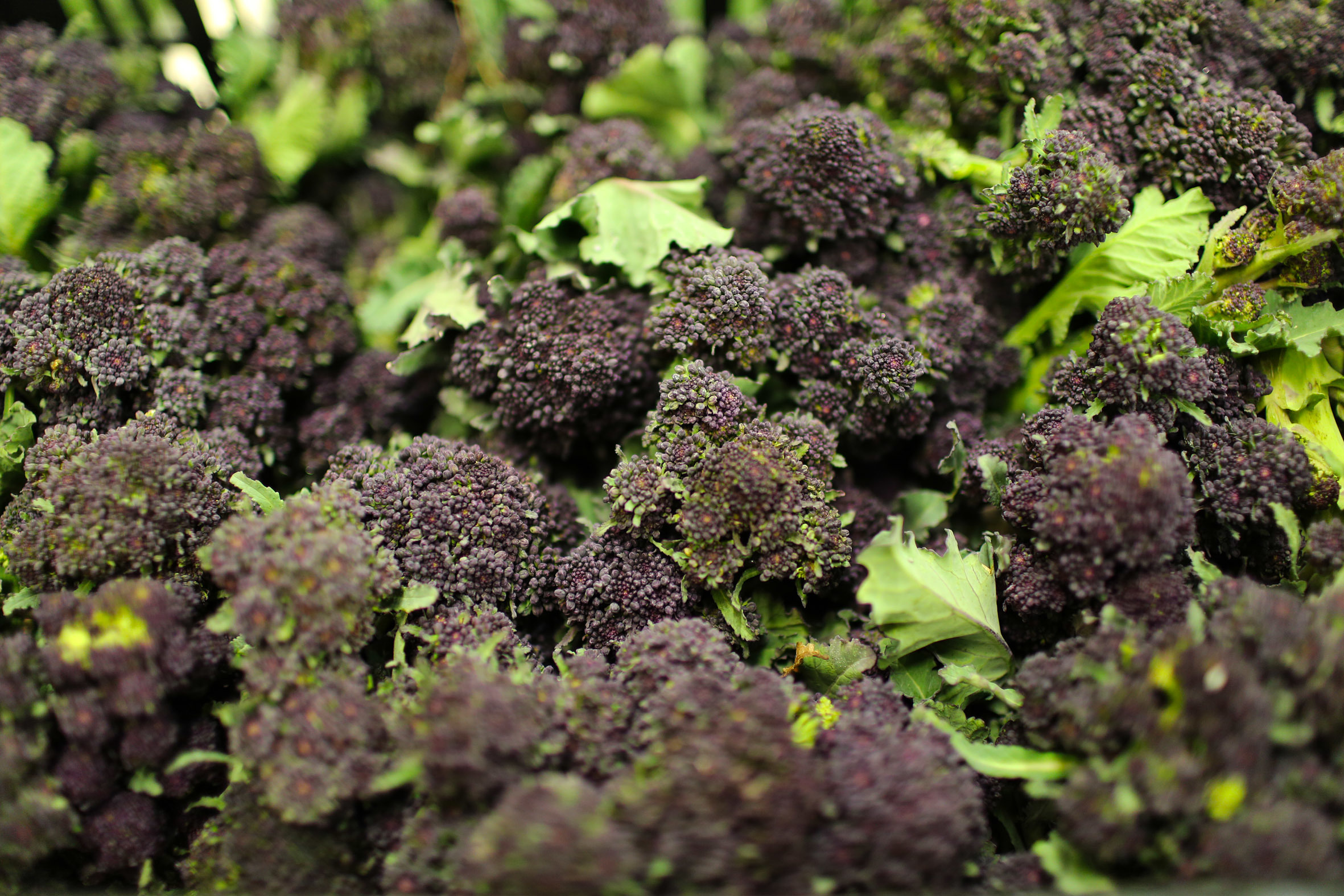 fruit-and-vegetable-market-report-february-2014-purple-sprouting.jpg?mtime=20170922113424#asset:11352
