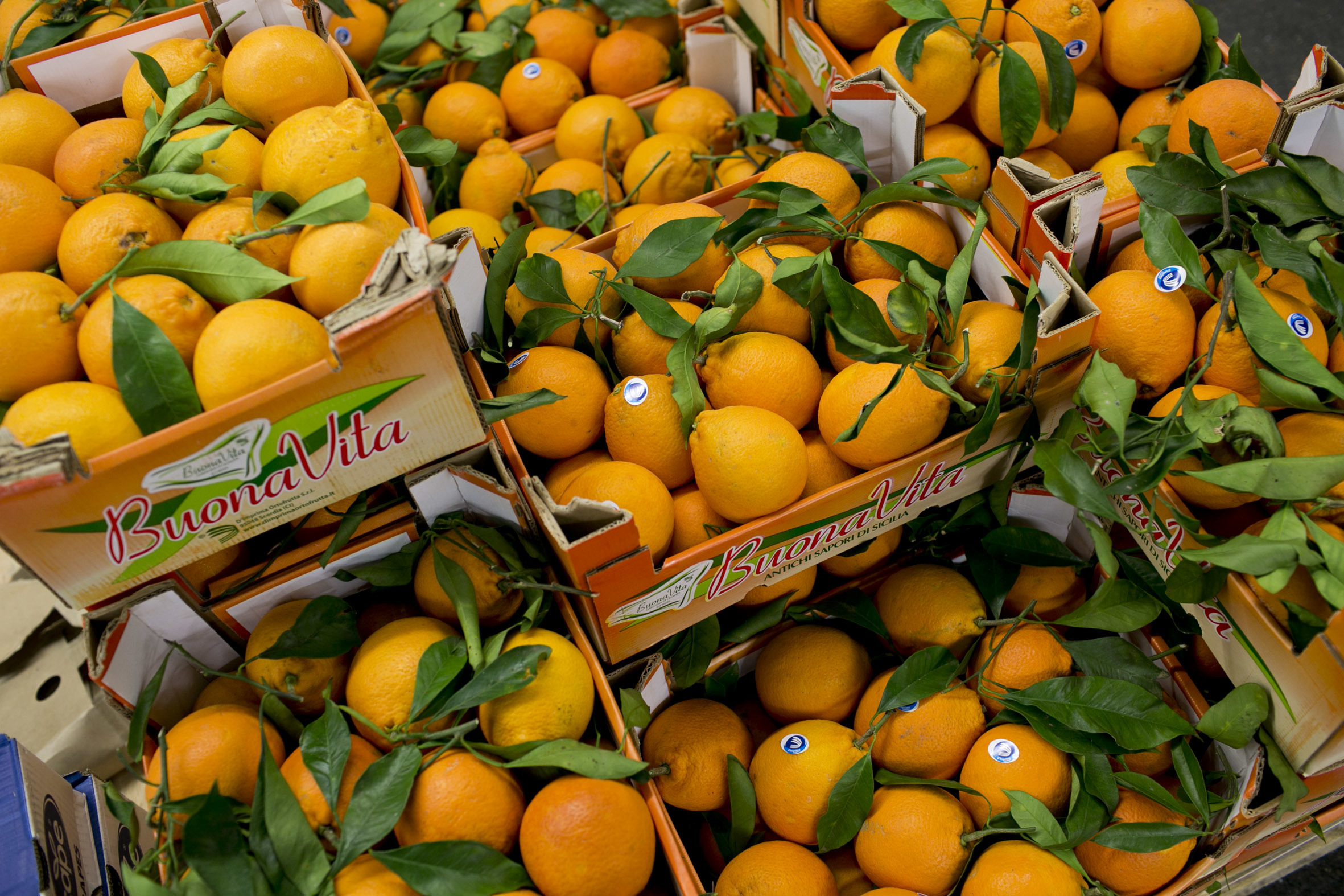 fruit-and-vegetable-market-report-february-2014-tarocco-oranges.jpg?mtime=20170922113434#asset:11356