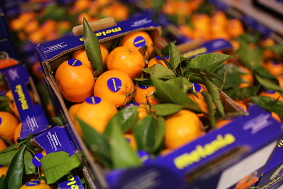 fruit-and-vegetable-market-report-january-2014-clementines.jpg?mtime=20170922114106#asset:11361