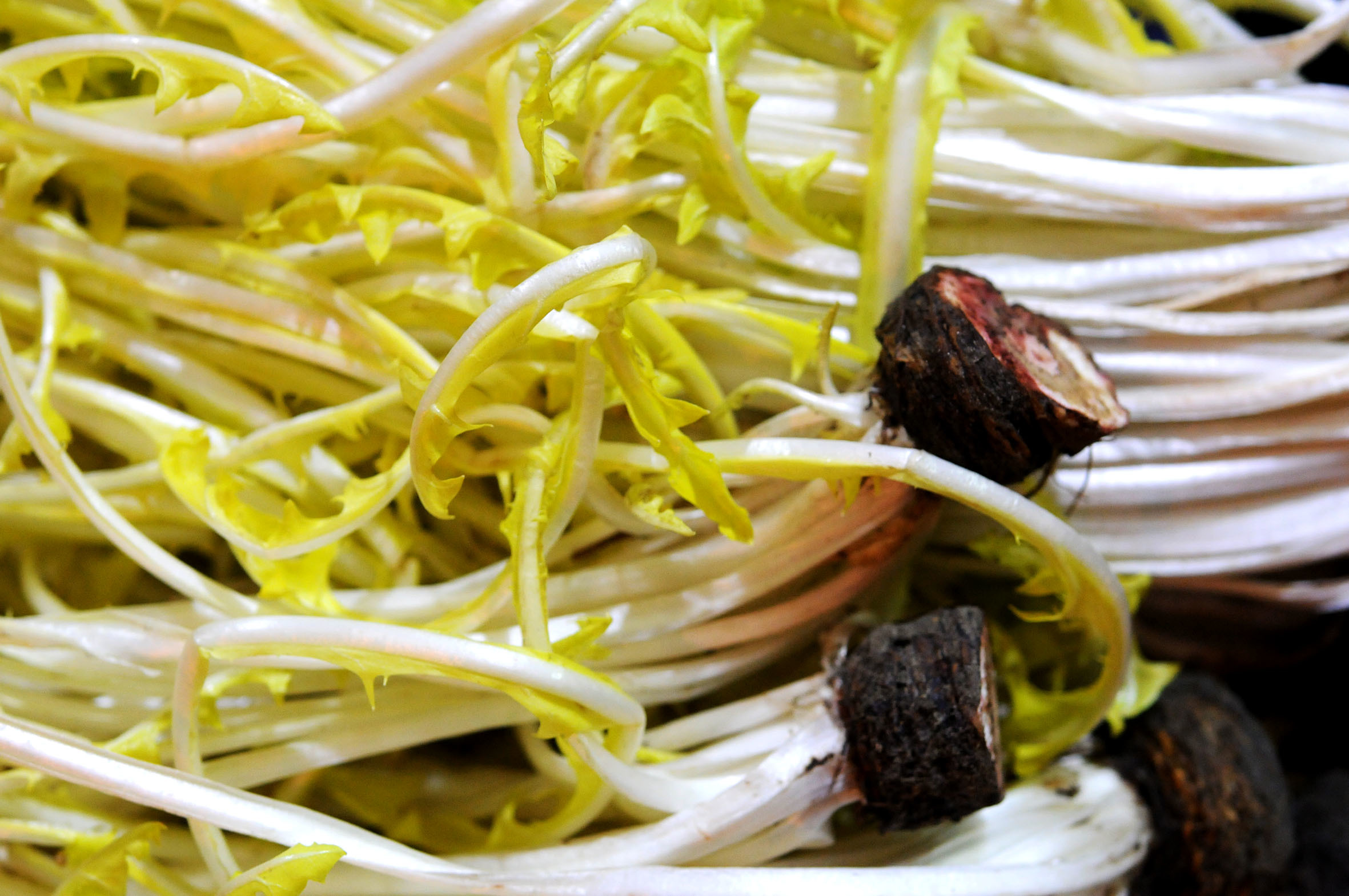 fruit-and-vegetable-market-report-january-2014-dandelion.jpg?mtime=20170922114107#asset:11362