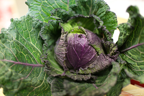 fruit-and-vegetable-market-report-january-2014-january-king.jpg?mtime=20170922114115#asset:11368