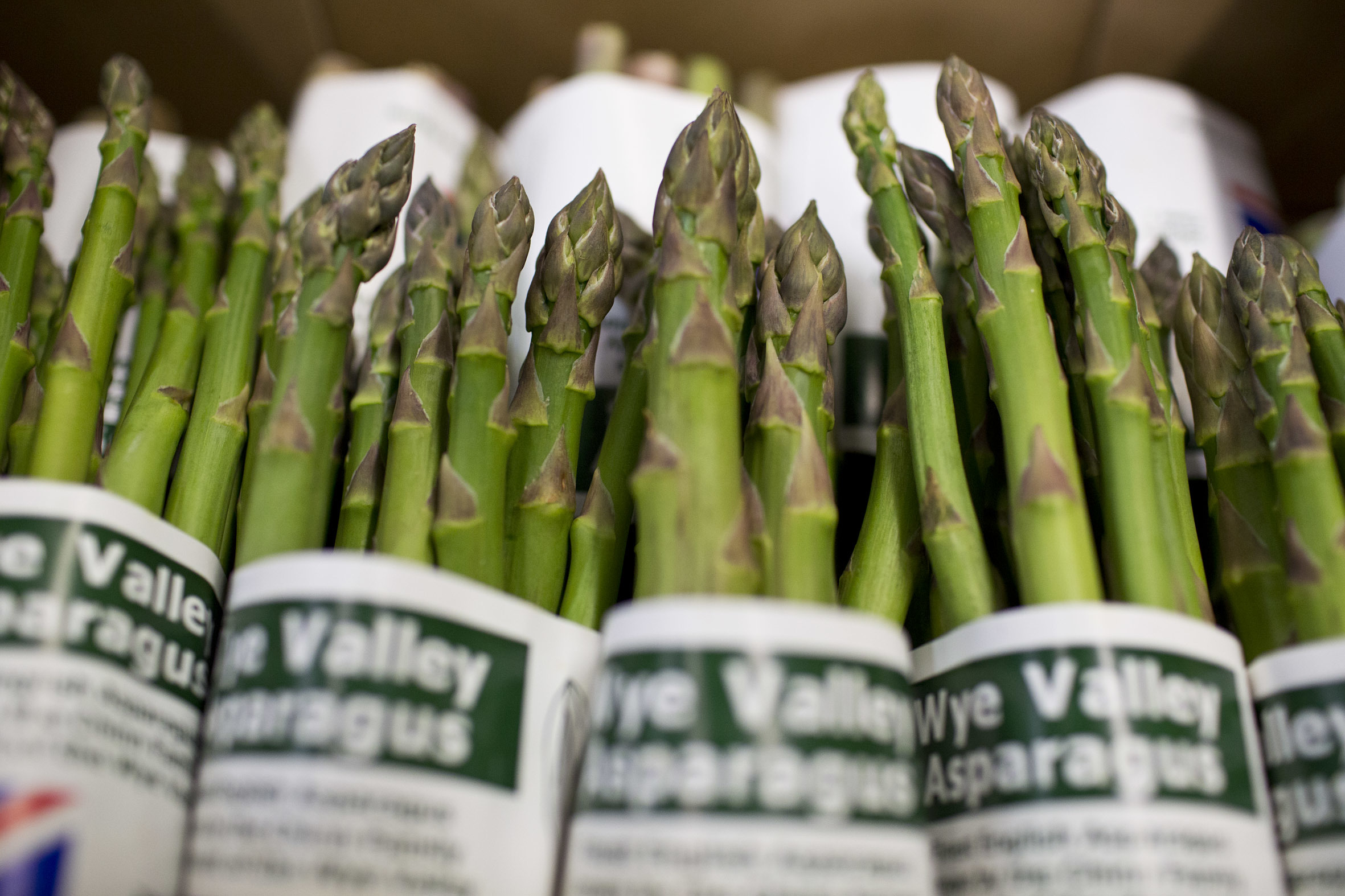 fruit-and-vegetable-market-report-march-2014-asparagus.jpg?mtime=20170922112622#asset:11322