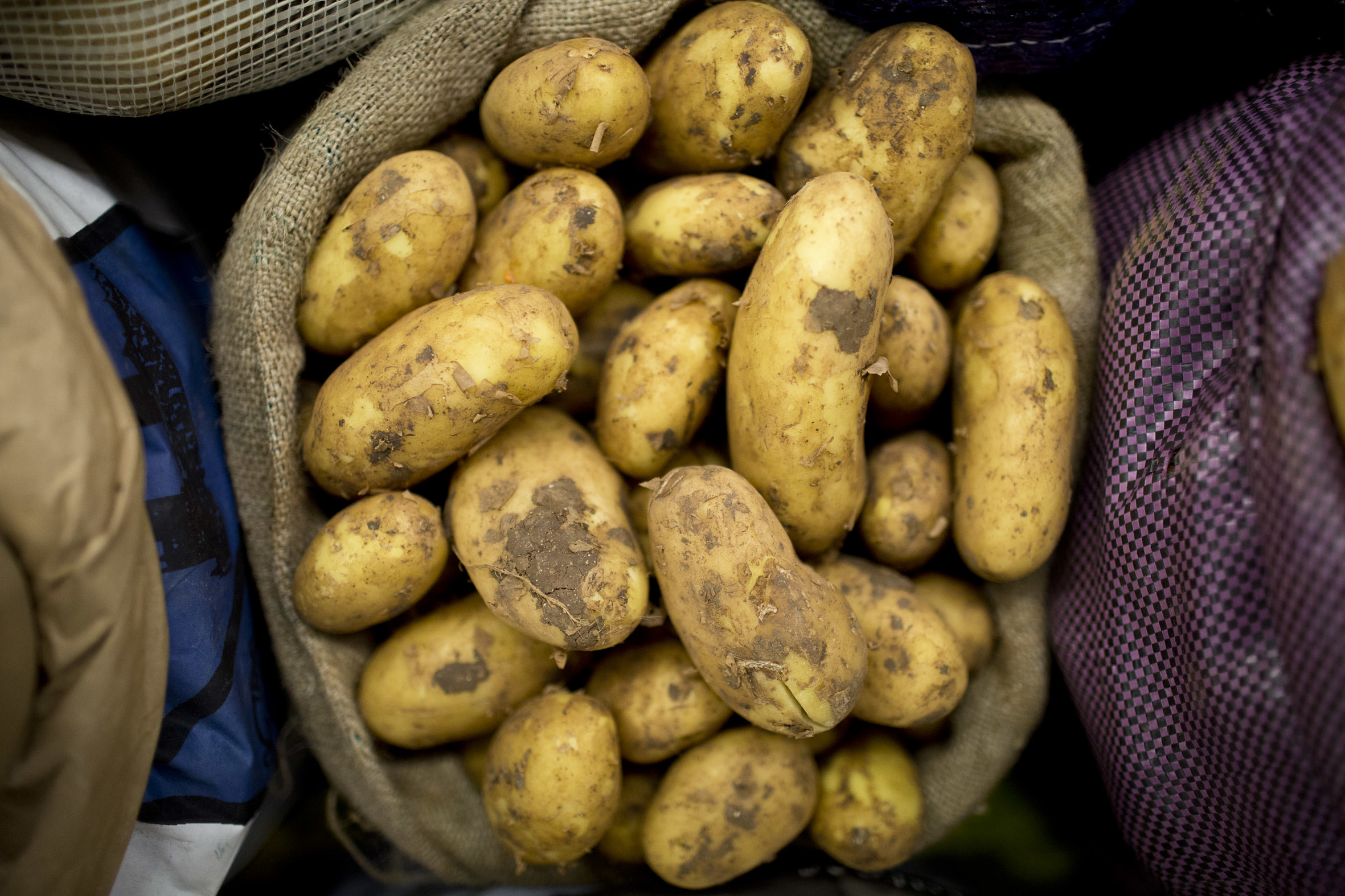 fruit-and-vegetable-market-report-march-2014-cyprus-potatoes.jpg?mtime=20170922112627#asset:11324
