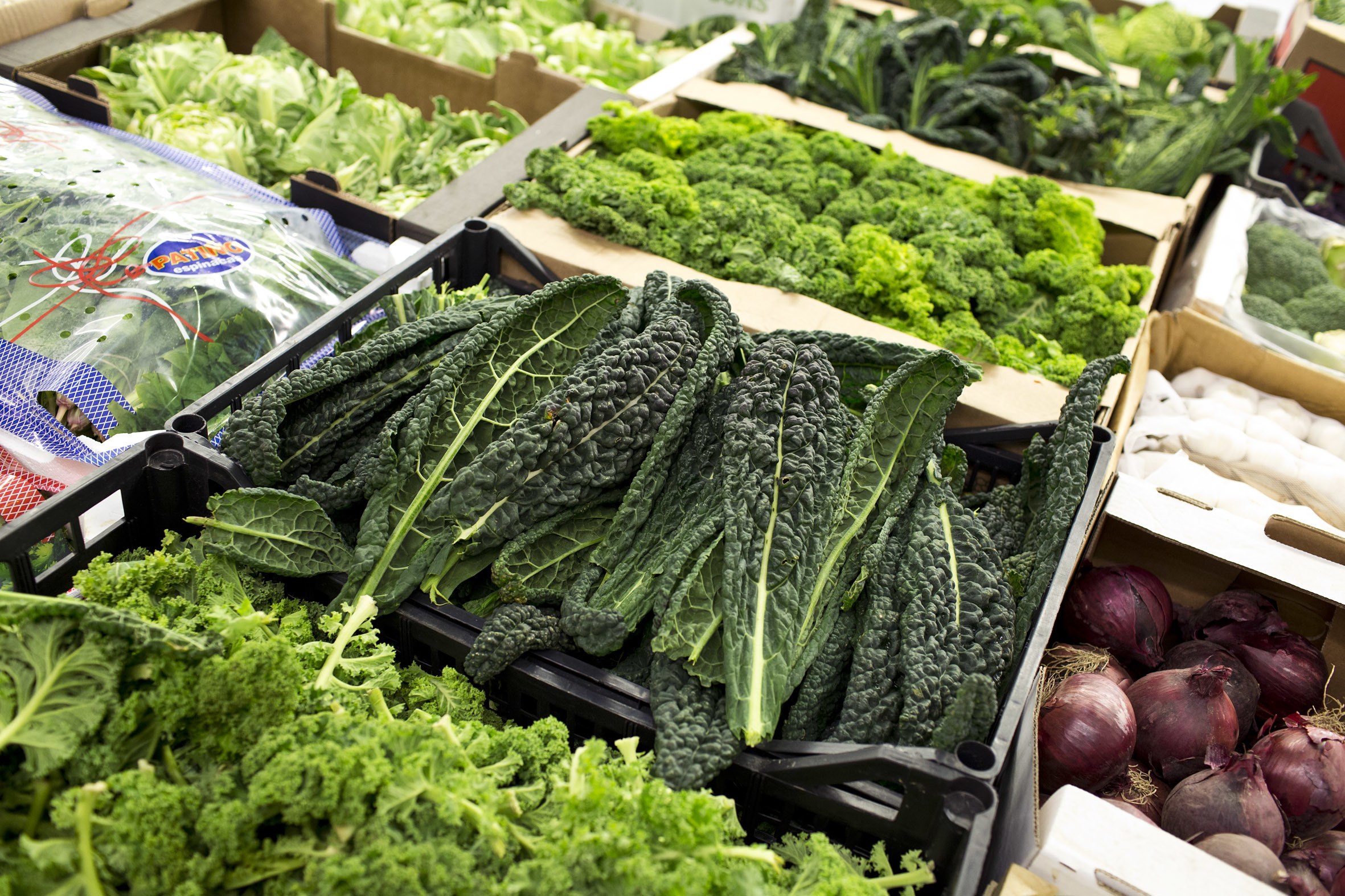 fruit-and-vegetable-market-report-march-2014-kale.jpg?mtime=20170922112634#asset:11327