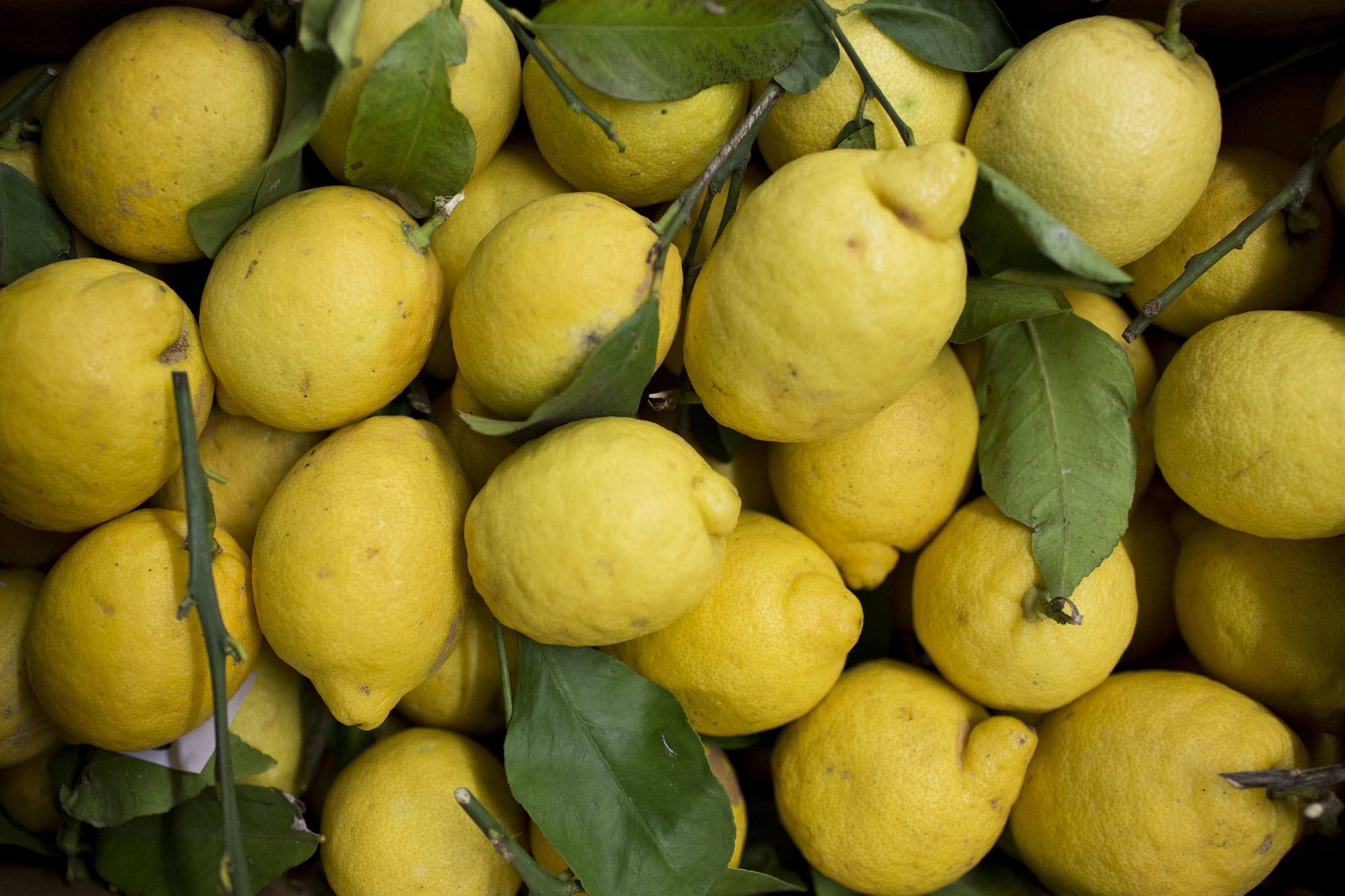fruit-and-vegetable-market-report-march-2014-unwaxed-lemons.jpg?mtime=20170922112651#asset:11334