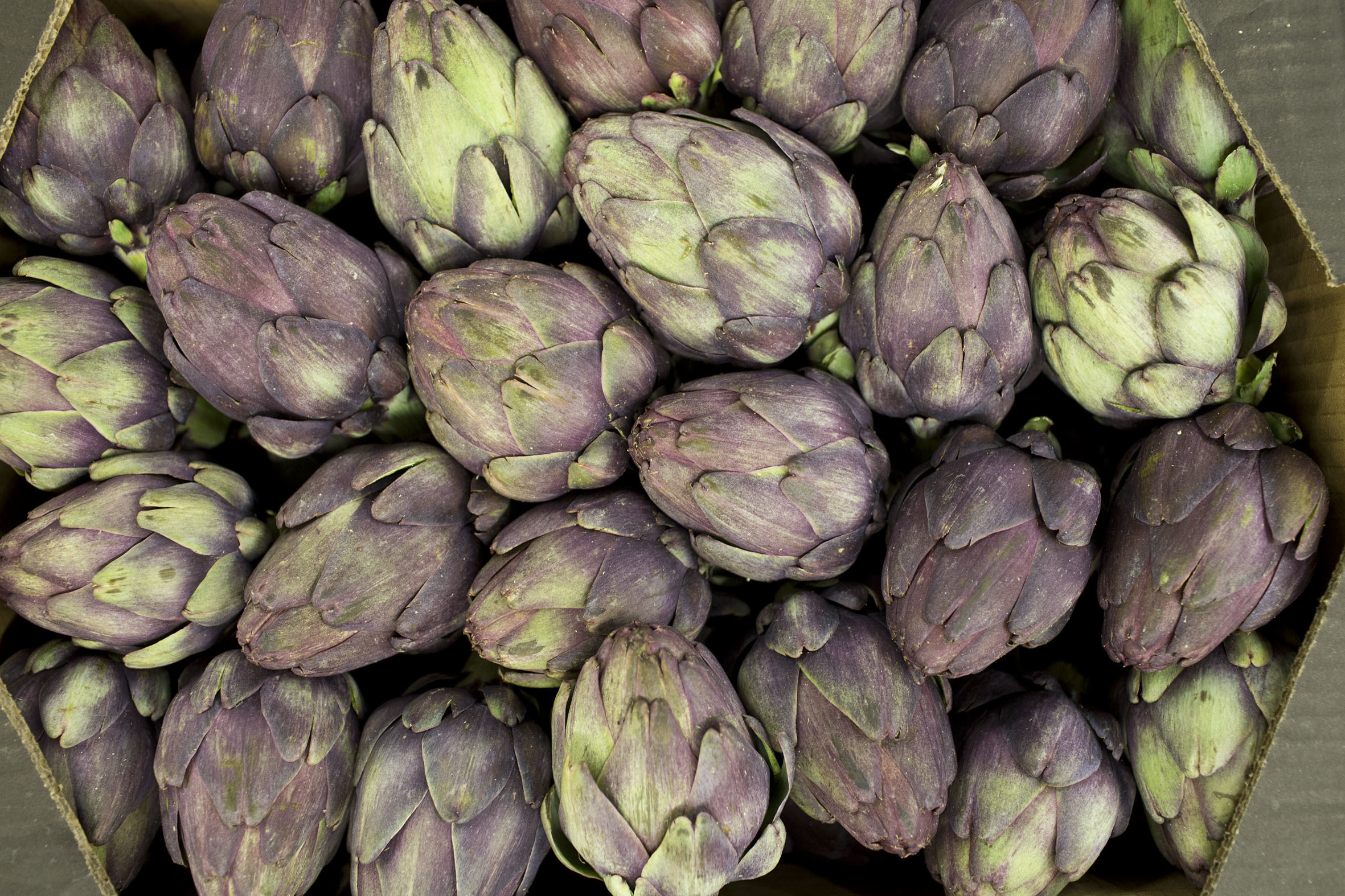 fruit-and-vegetable-market-report-march-2014-violet-artichokes.jpg?mtime=20170922112653#asset:11335