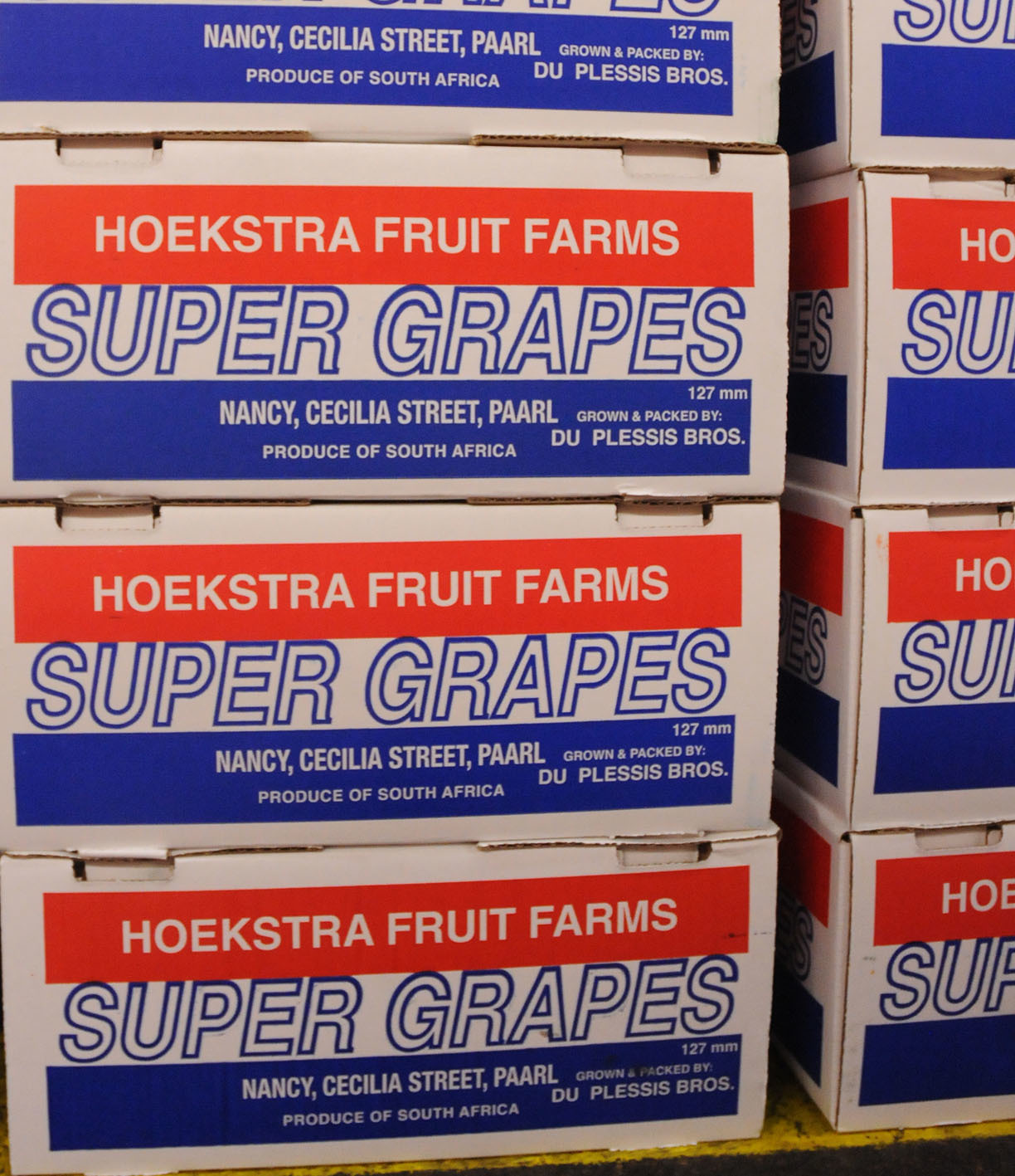grapes_170922_144311.jpg?mtime=20170922144311#asset:11547