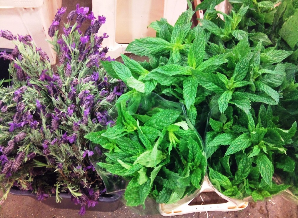 lavender-and-mint.jpg?mtime=20171003164921#asset:12764