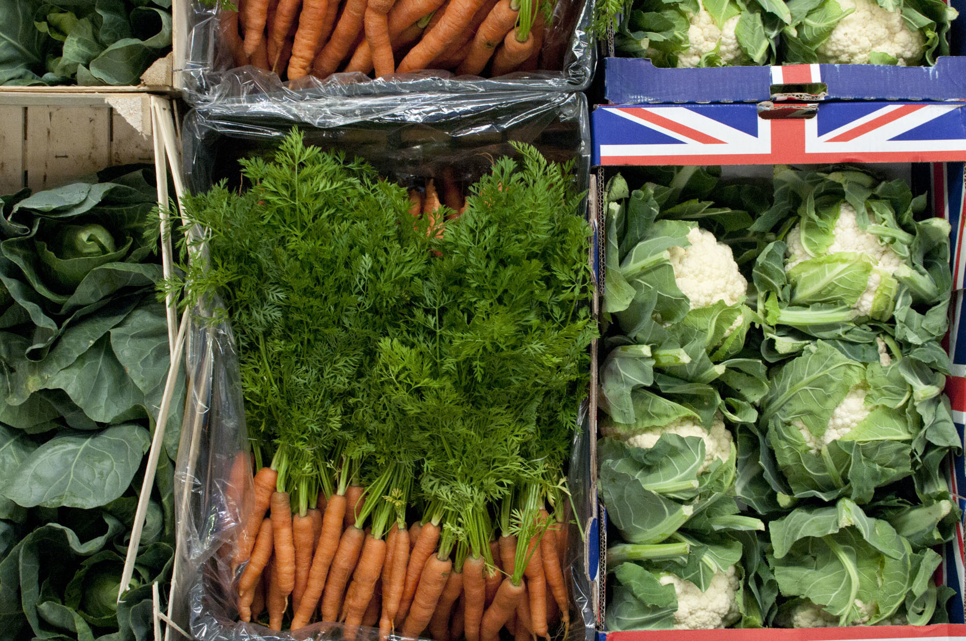mixed_produce.jpg?mtime=20170922121315#asset:11433