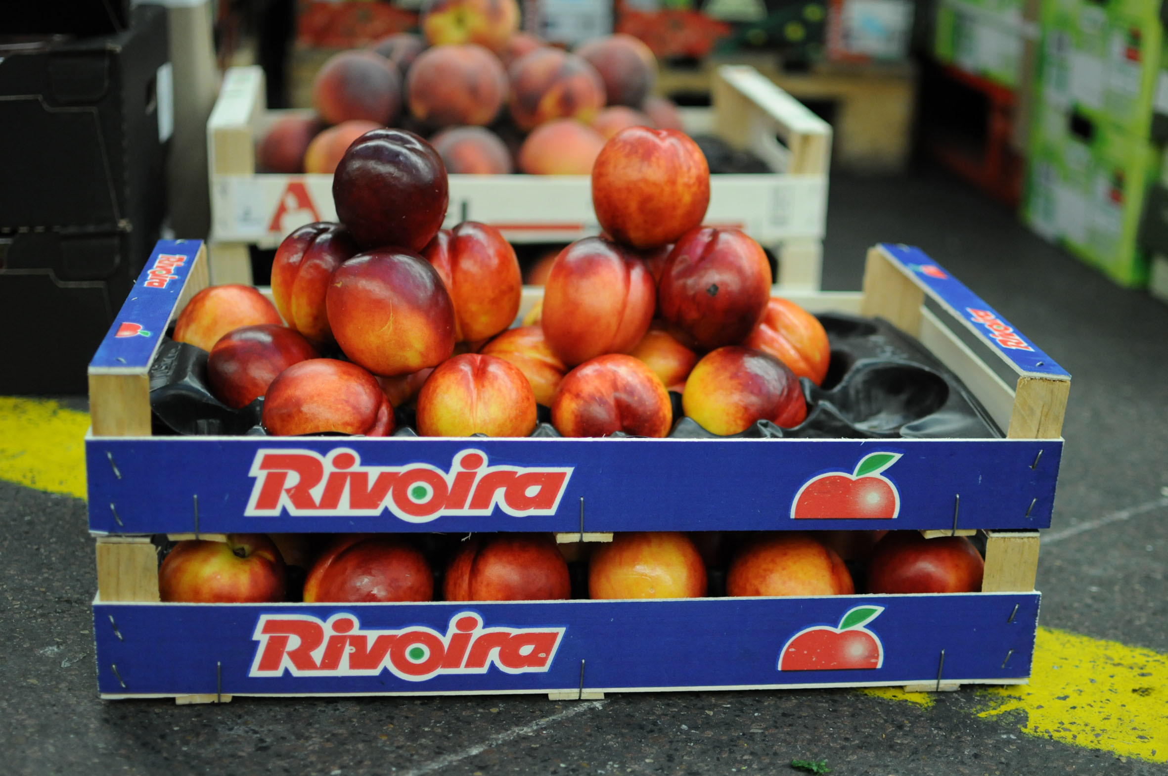 nectarines.jpg?mtime=20170922121316#asset:11434