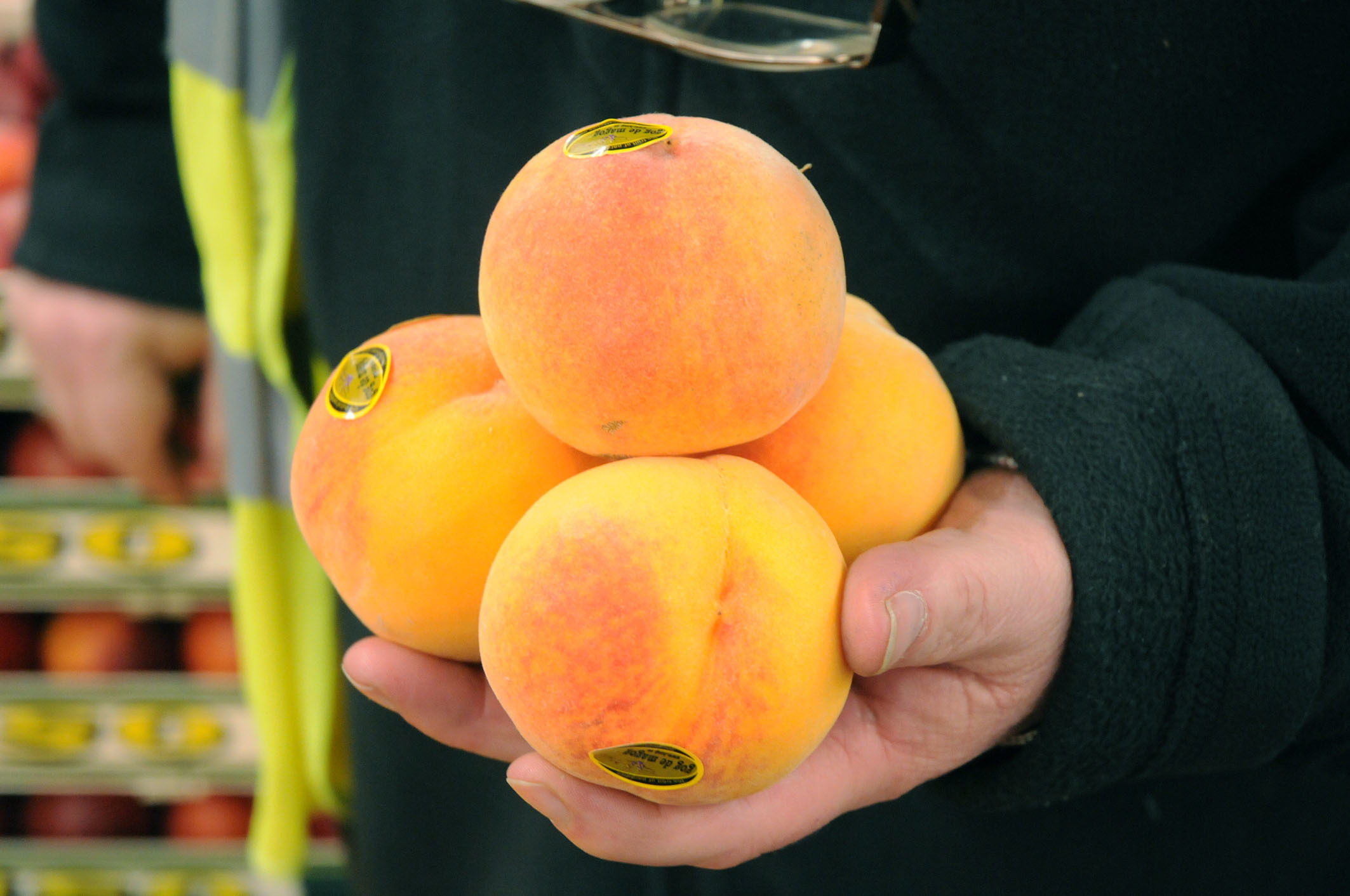 peaches.jpg?mtime=20170922143129#asset:11518