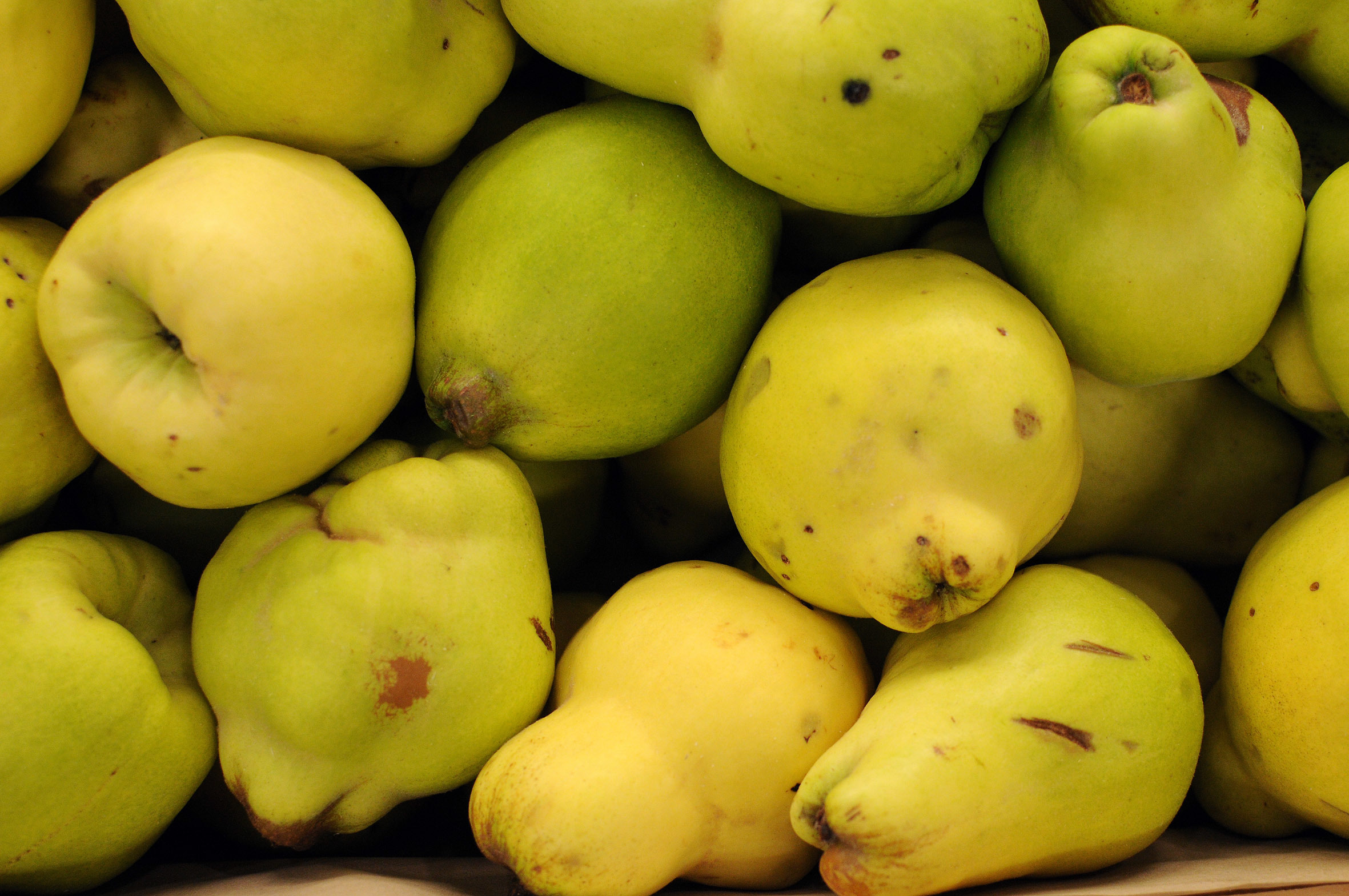 quince_170922_120529.jpg?mtime=20170922120527#asset:11418