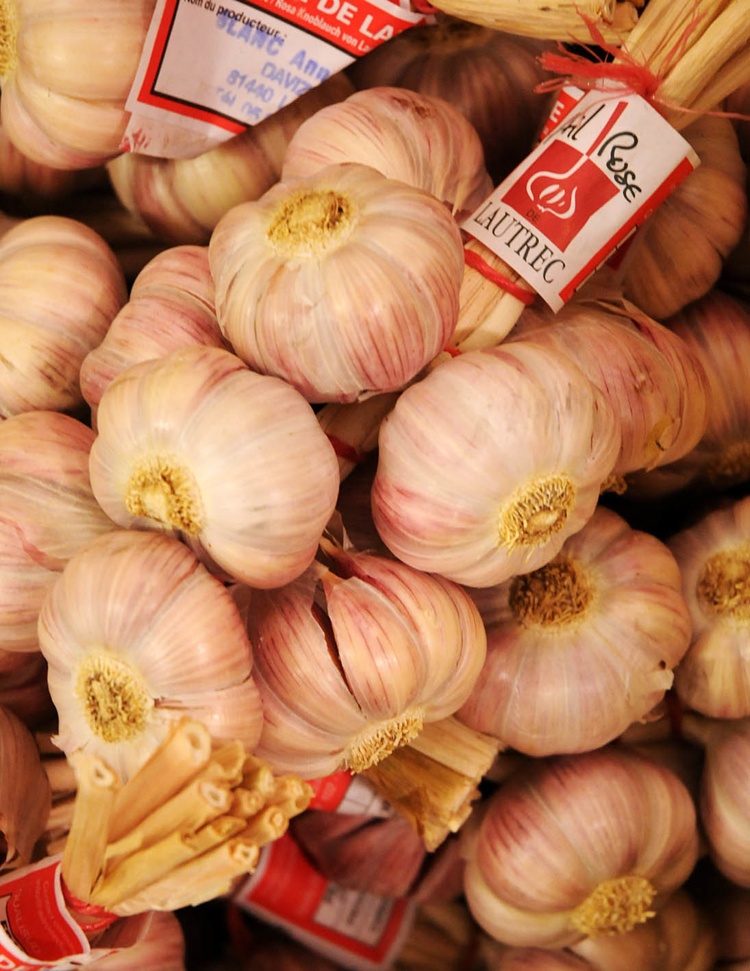 rose-garlic.jpg?mtime=20170922144730#asset:11563