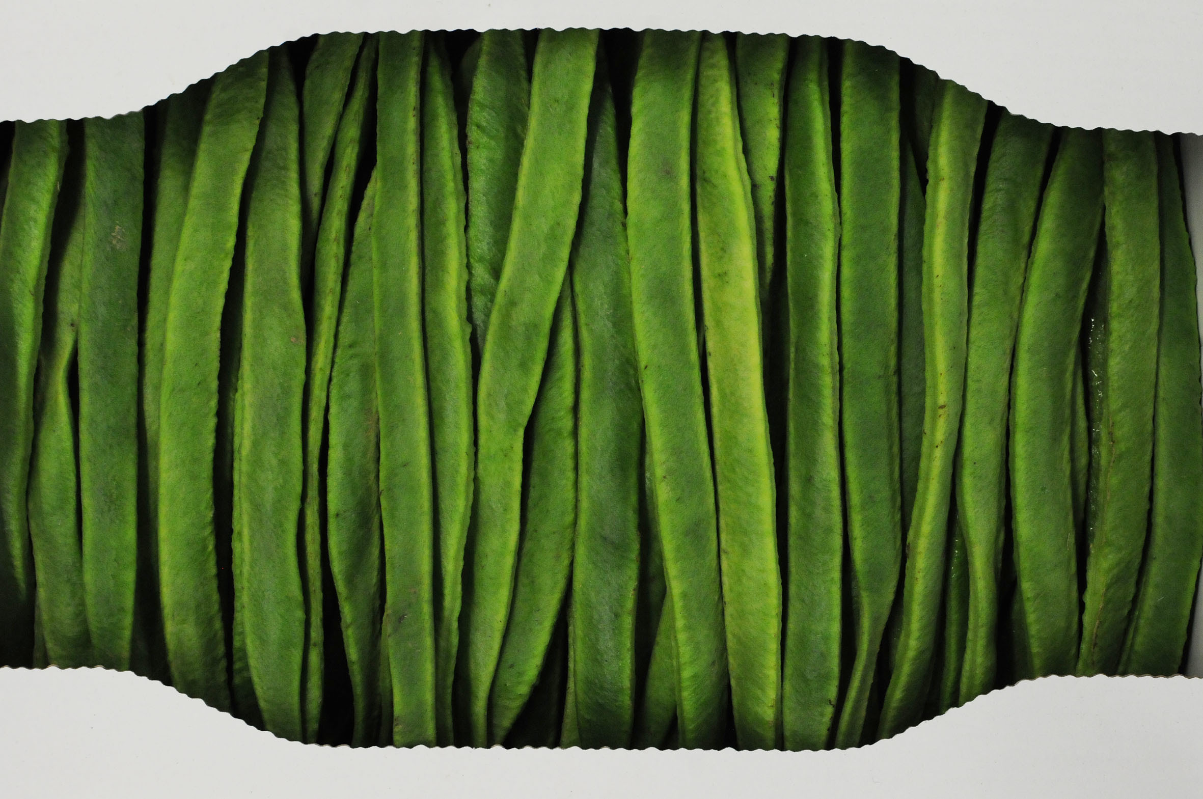 runner_beans.jpg?mtime=20170922121321#asset:11437