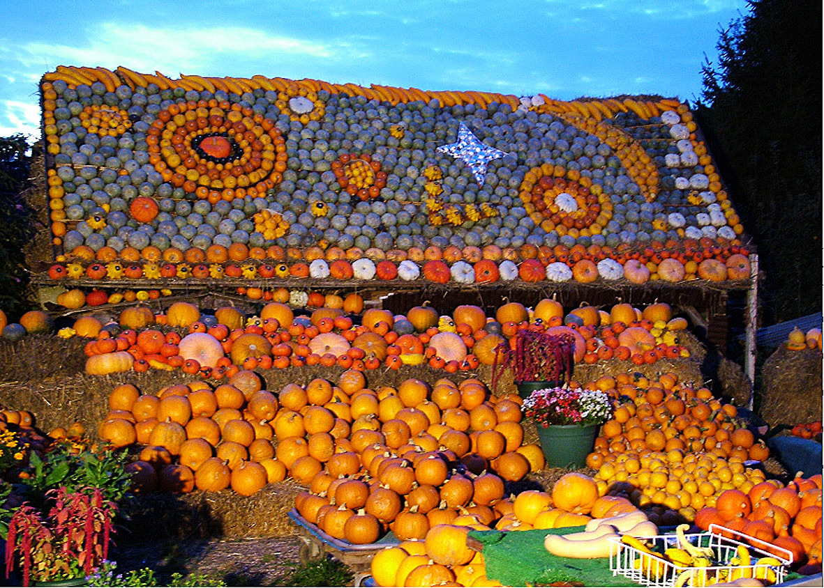 squash_house.jpg?mtime=20170922120532#asset:11420