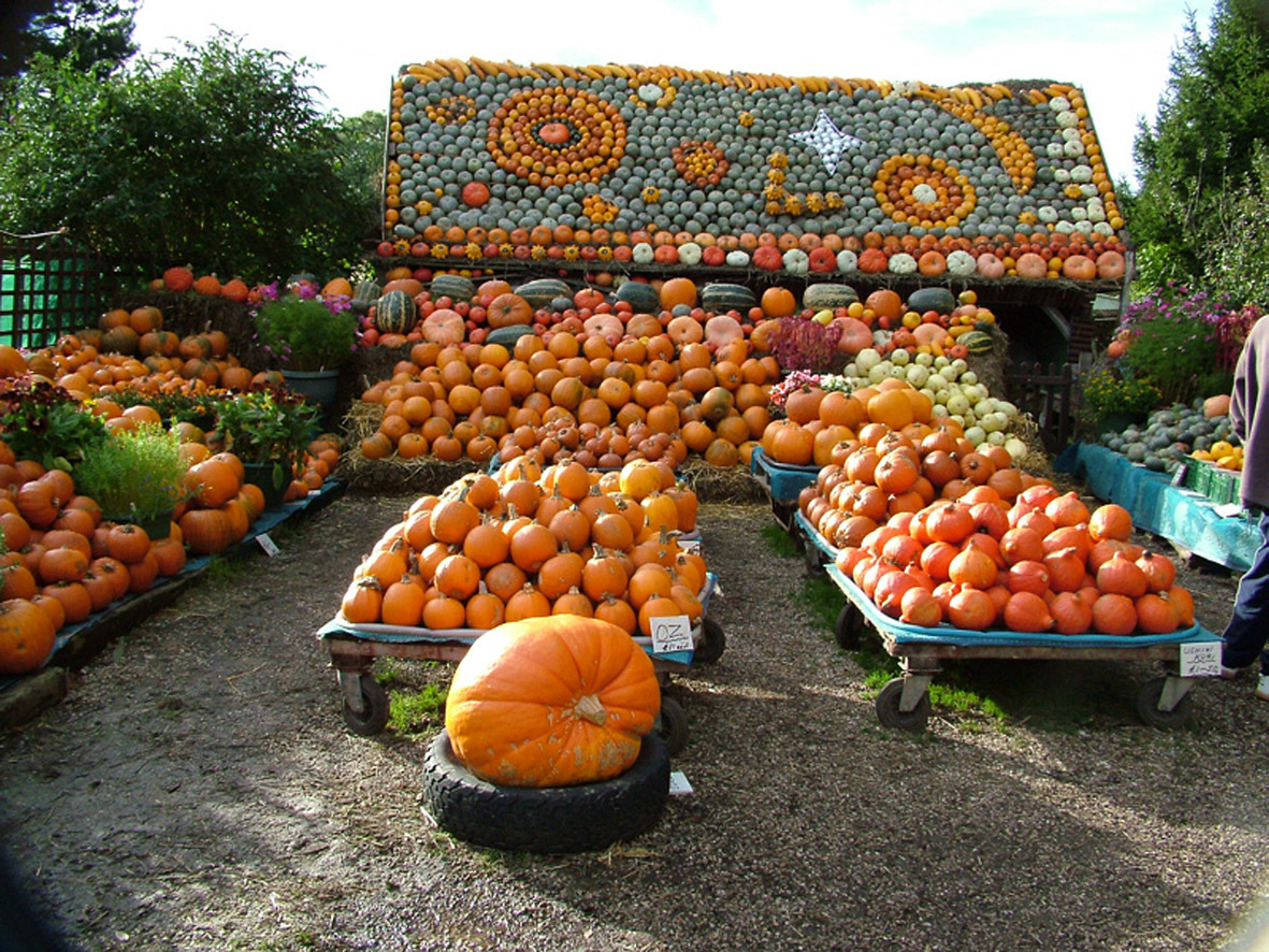 squash_house1.jpg?mtime=20170922120611#asset:11422