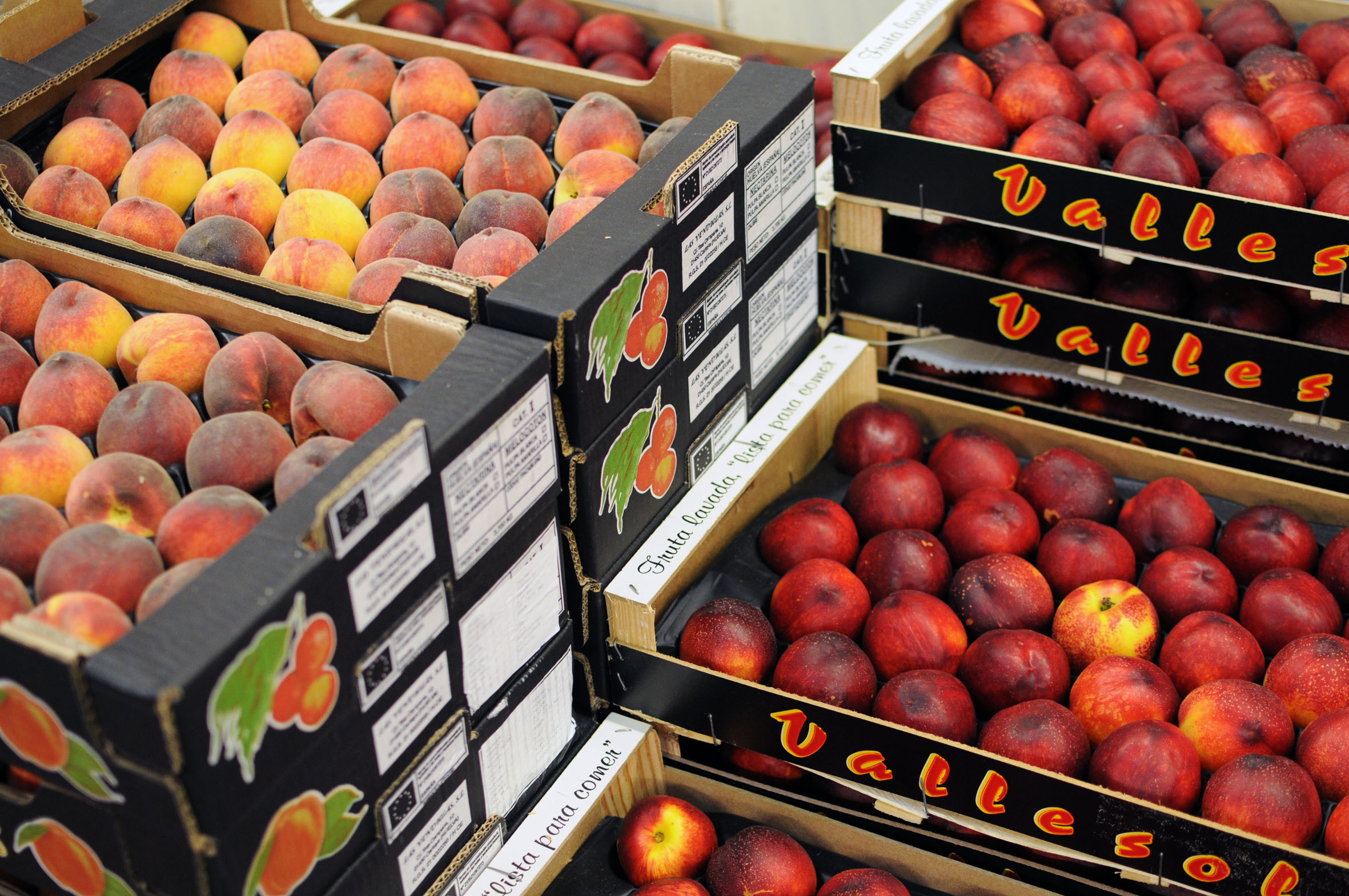 stone-fruit.jpg?mtime=20170922140823#asset:11477