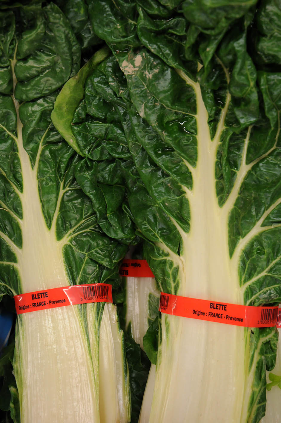 swiss-chard.jpg?mtime=20170922144731#asset:11564