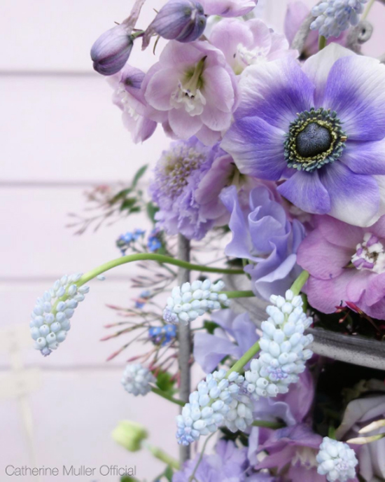 New-Covent-Garden-Flower-Market-Product-Profile-Report-March-2017-Muscari-Rona-Wheeldon-Flowerona-Catherine-Muller-Flower-S.jpg?mtime=20170719142644#asset:5104