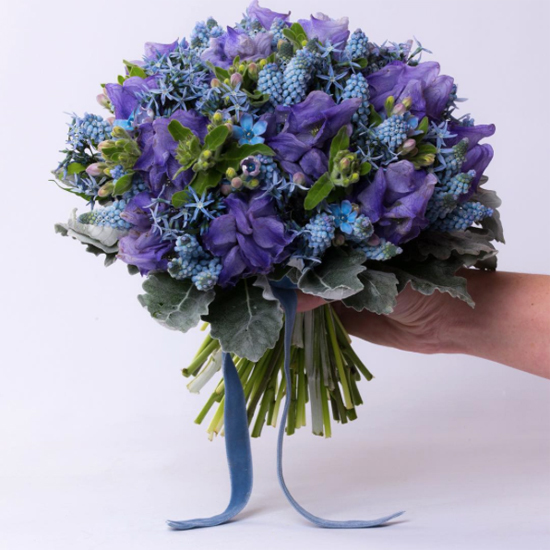 New-Covent-Garden-Flower-Market-Product-Profile-Report-March-2017-Muscari-Rona-Wheeldon-Flowerona-Paul-Thomas-Flowers.jpg?mtime=20170719142406#asset:5109