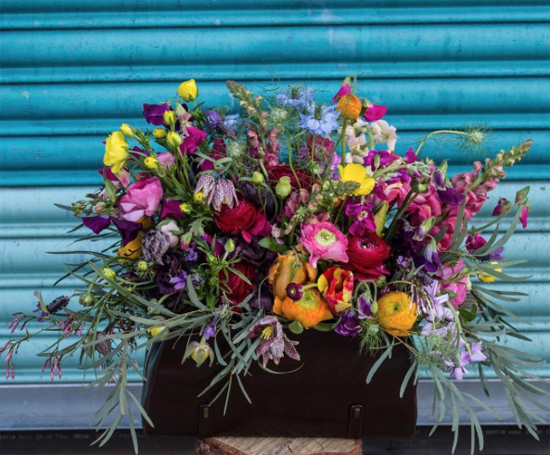 New-Covent-Garden-Flower-Market-Product-Profile-Report-Nigella-June-2017-Rebel-Rebel.jpg?mtime=20170719102317#asset:5024