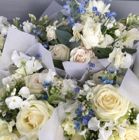New-Covent-Garden-Flower-Market-Product-Profile-Report-Phlox-Blue-Sky-Flowers.JPG?mtime=20170719110023#asset:5034