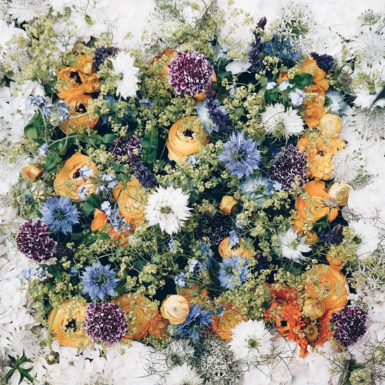 new-Covent-Garden-Flower-Market-Product-Profile-Report-Nigella-June-2017-JamJar-Flowers.jpg?mtime=20170719102315#asset:5019