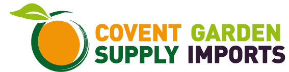 Cgsimports Temp Logo